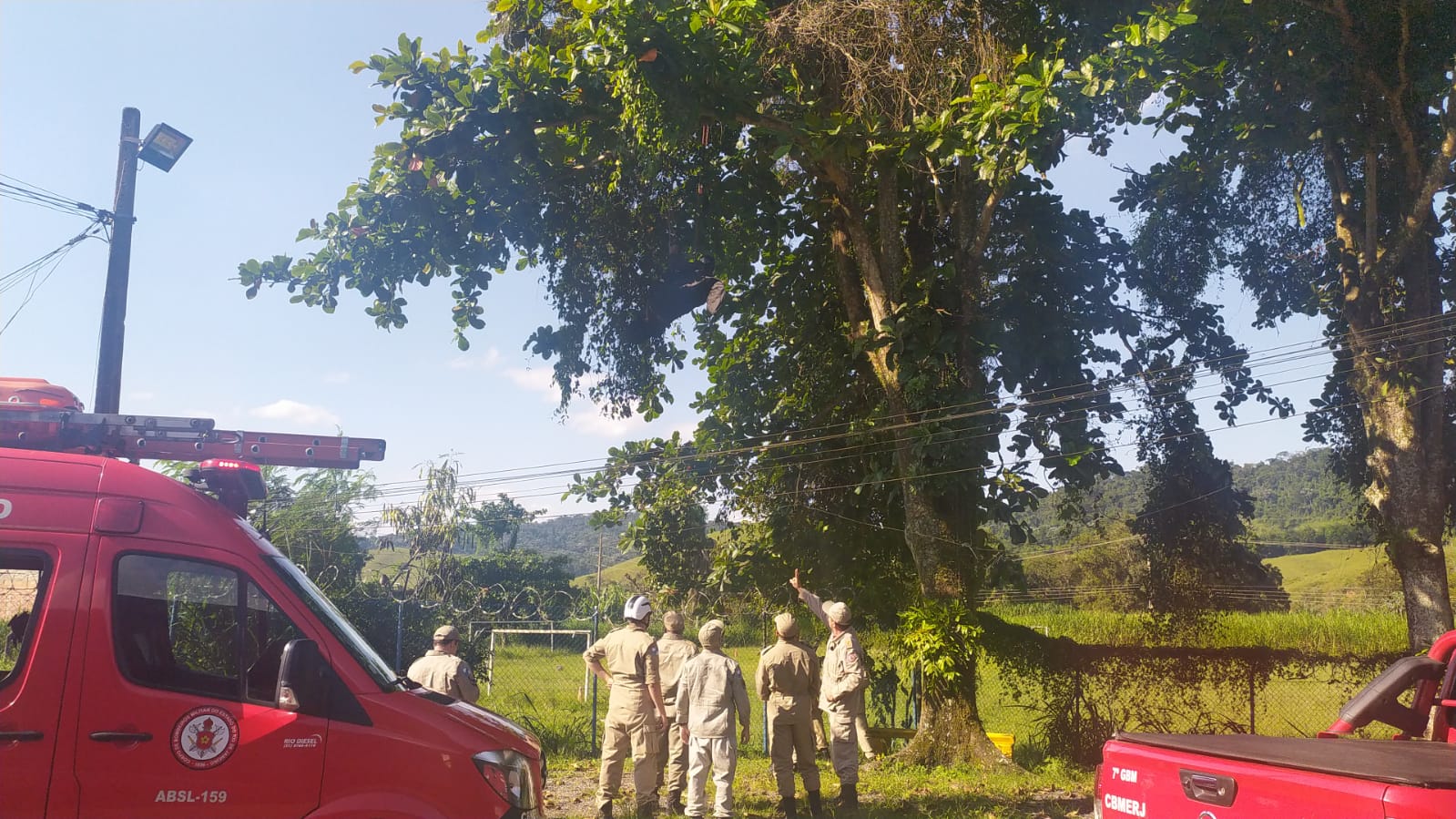 Piloto de parapente fica preso em árvore no posto da PRF de Floriano