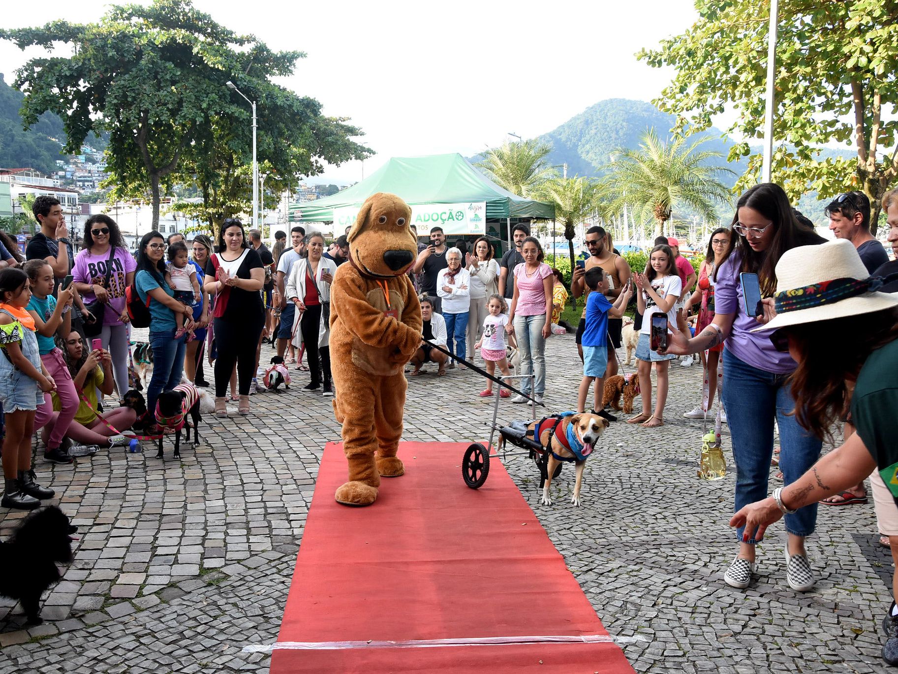 Desfile de Pets reúne famílias em Angra dos Reis